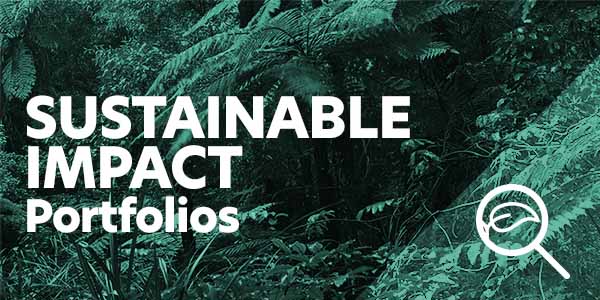 Portfolio Series - Sustainable impact portfolios