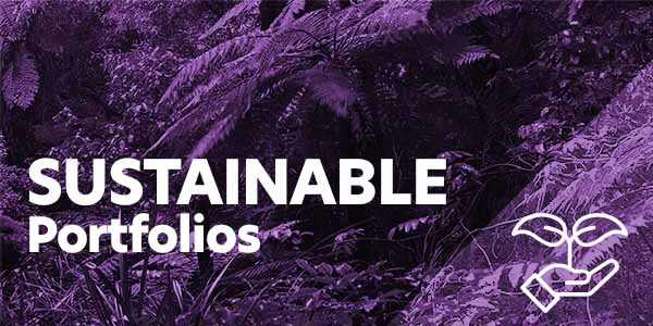 Portfolio Series - Sustainable portfolios