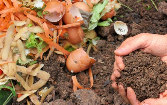 Why we support Fair Food: turning surplus food into lasting community impact